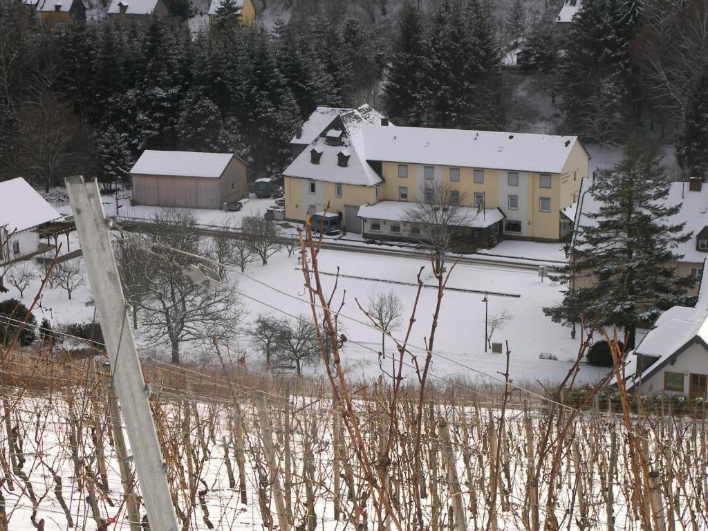 Hotel Dampfmuehle Enkirch Bagian luar foto