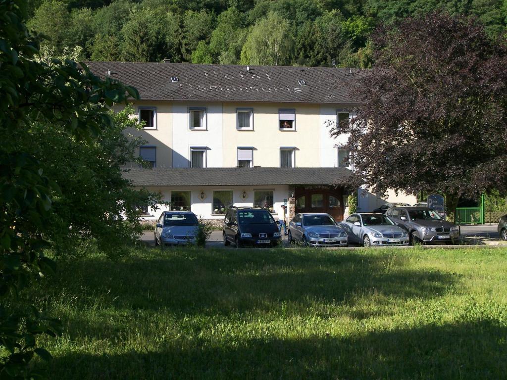 Hotel Dampfmuehle Enkirch Bagian luar foto