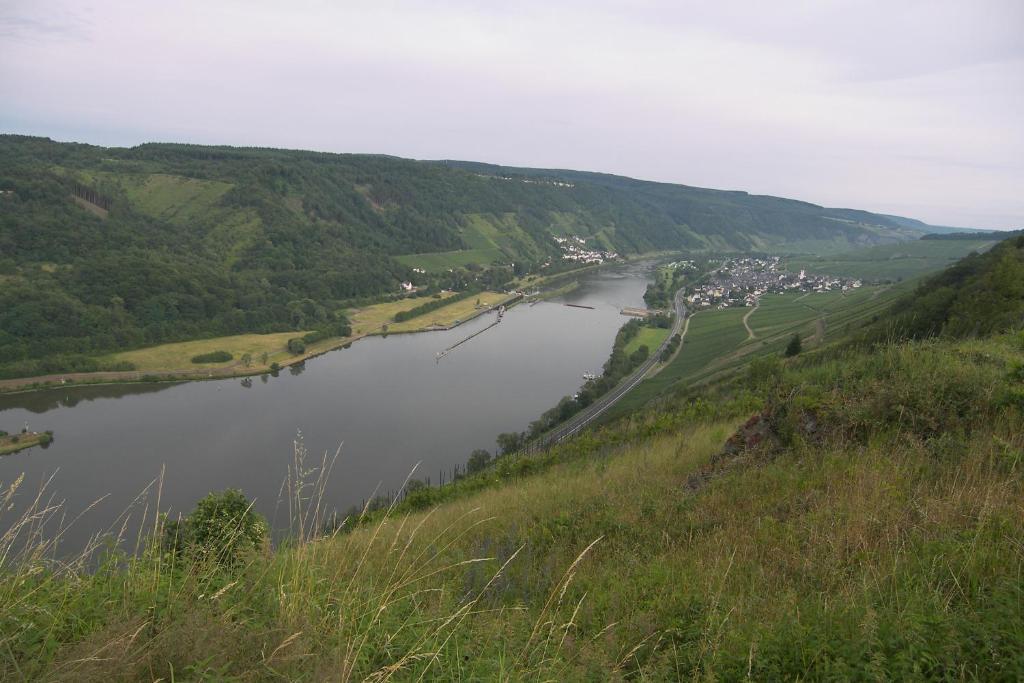 Hotel Dampfmuehle Enkirch Bagian luar foto
