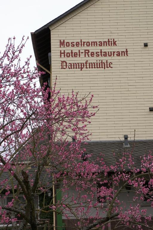 Hotel Dampfmuehle Enkirch Bagian luar foto